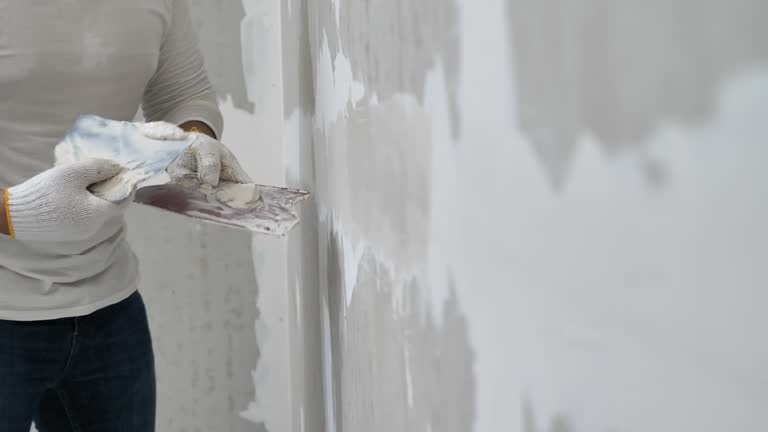  , USA Dry wall and painting Pros